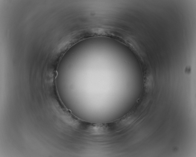 X0000110960466200906191316