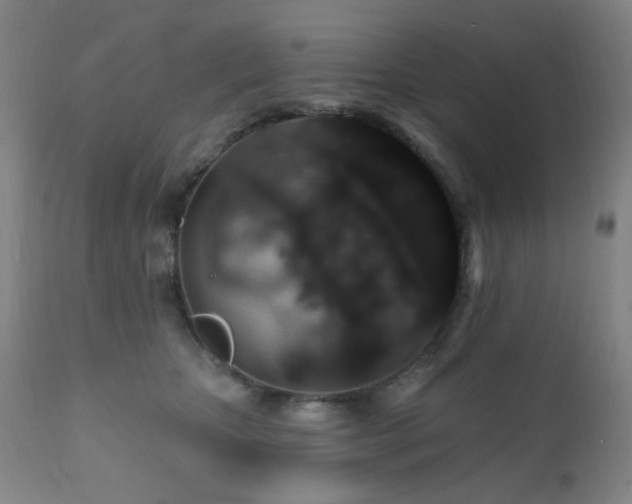 X0000110960467200906191316