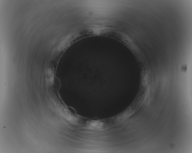 X0000110960471200906191316