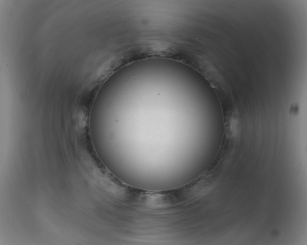 X0000110960472200906191316