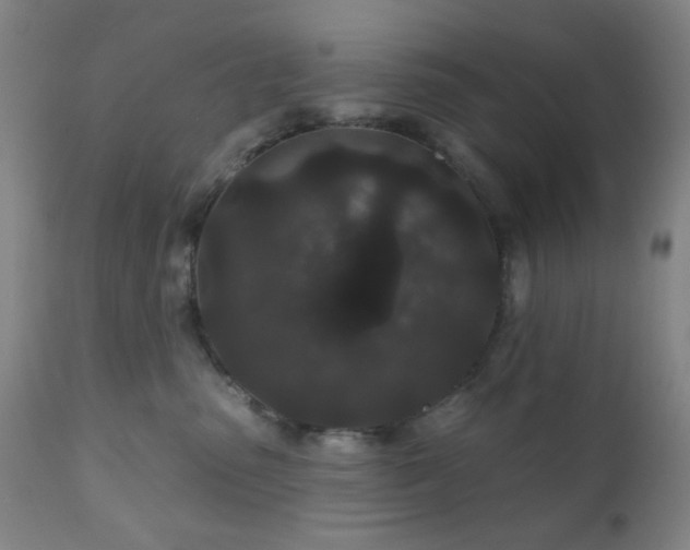 X0000110960475200906191316