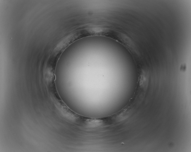 X0000110960476200906191316