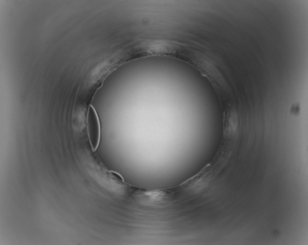 X0000110960478200906191316