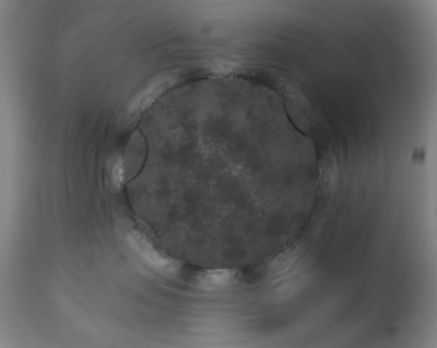 X0000110960479200906191316