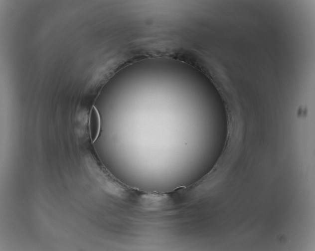 X0000110960480200906191316