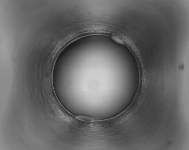X0000110960481200906191316