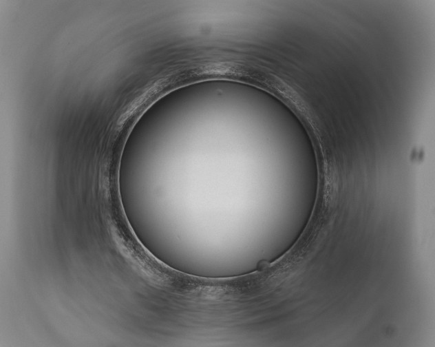 X0000110960482200906191316