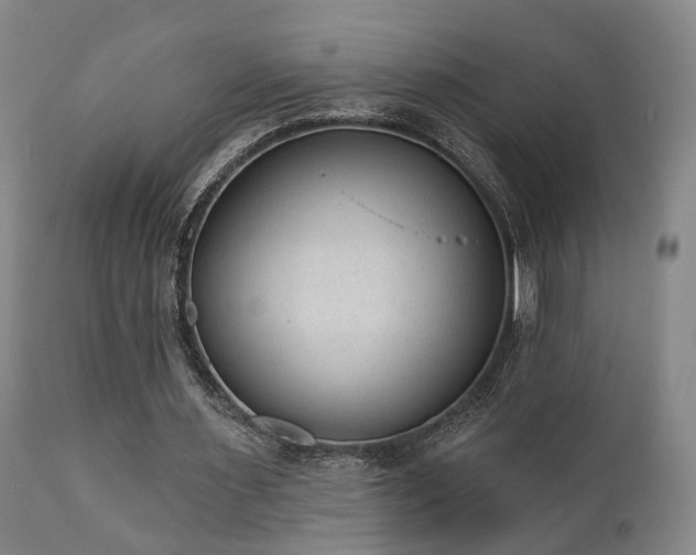 X0000110960483200906191316