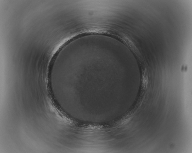 X0000110960484200906191316