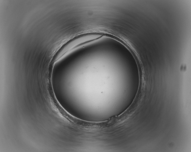 X0000110960485200906191316