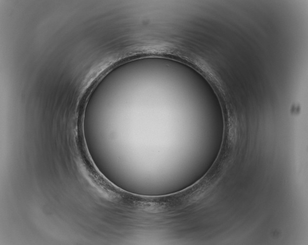 X0000110960486200906191316