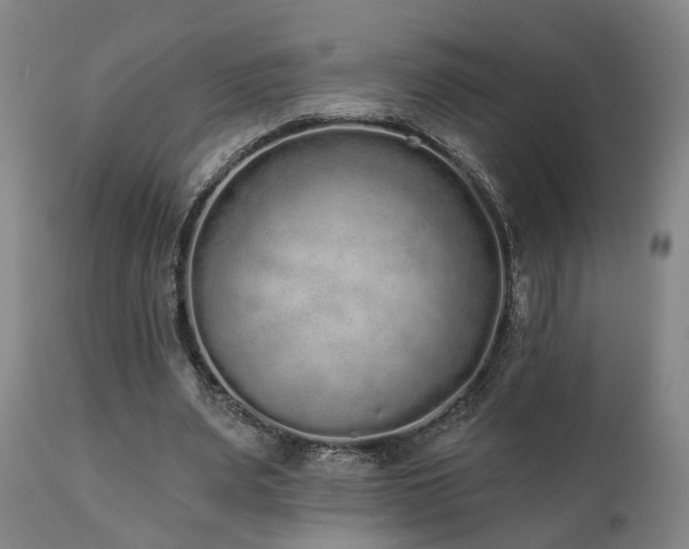 X0000110960487200906191316