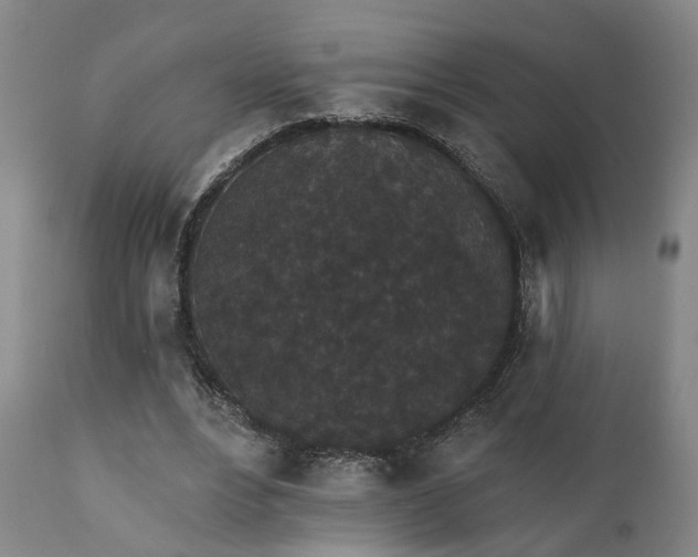 X0000110960488200906191316