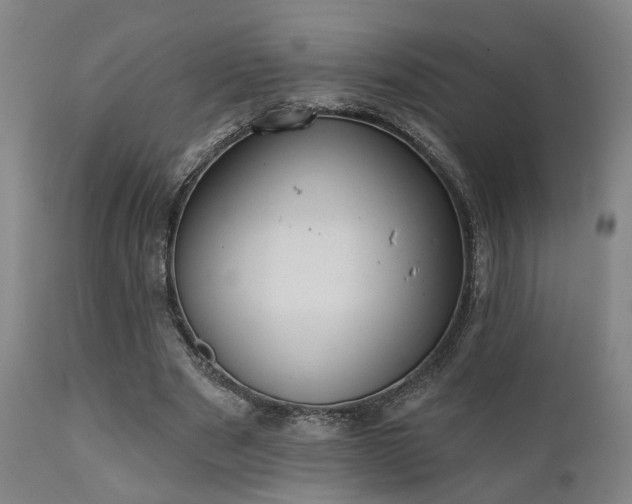 X0000110960489200906191316