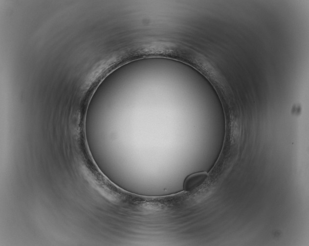 X0000110960490200906191316