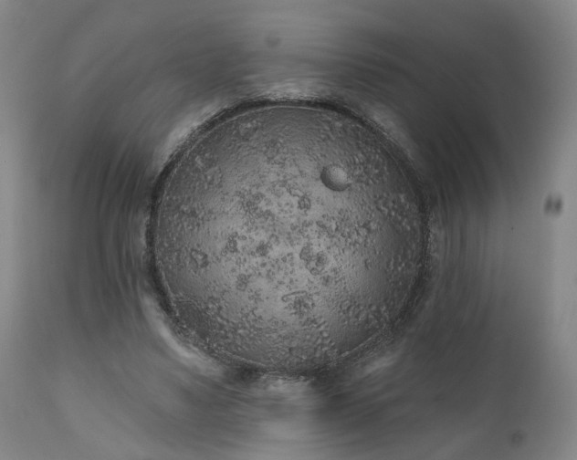 X0000110960491200906191316