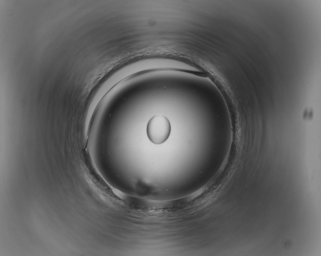 X0000110960493200906191316
