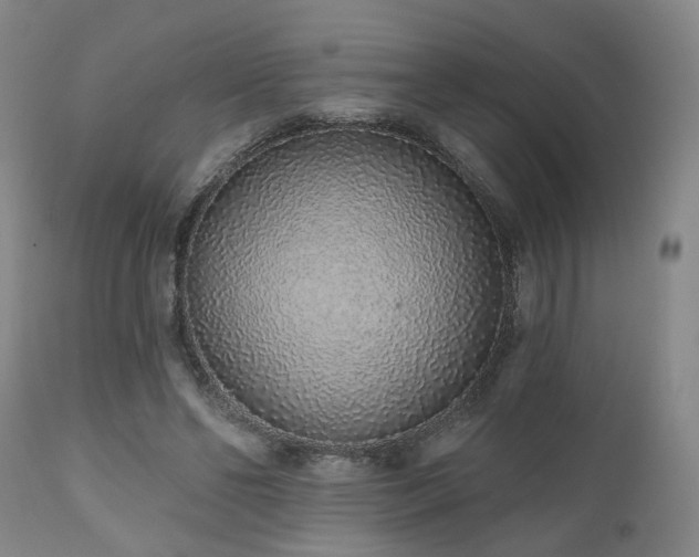 X0000110960494200906191316