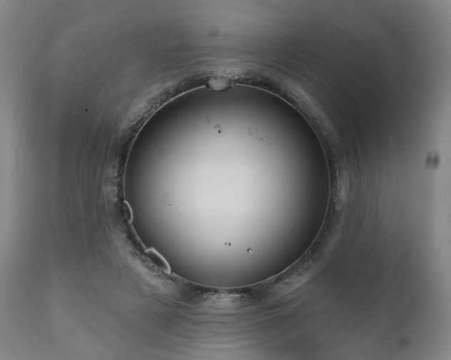 X0000110960497200906191316