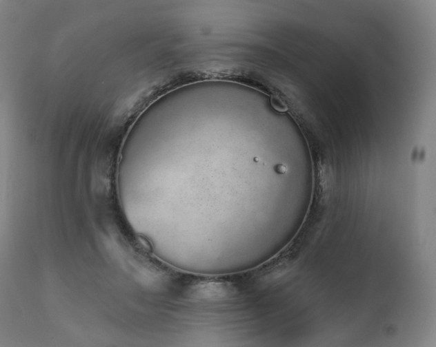 X0000110960499200906191315