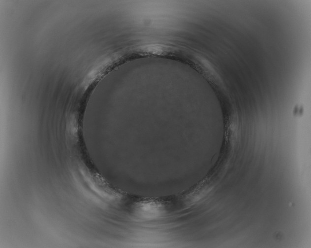 X0000110960500200906191315