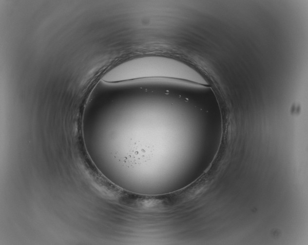 X0000110960501200906191315