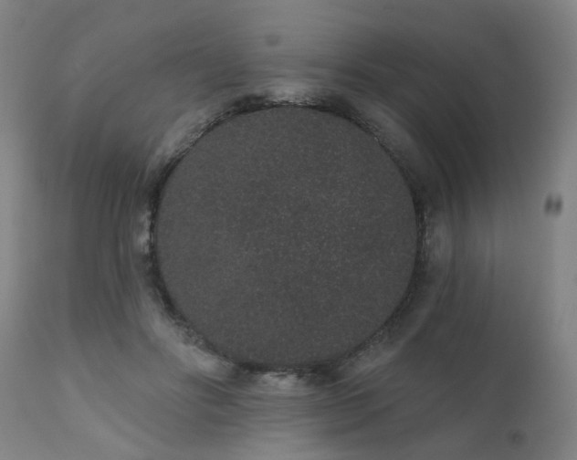 X0000110960502200906191315