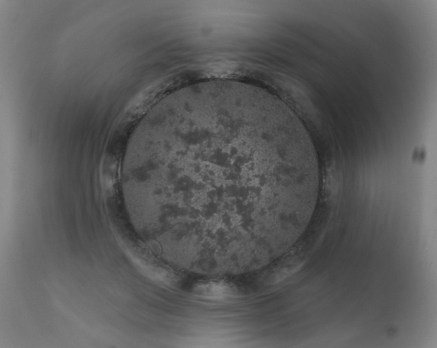 X0000110960503200906191315