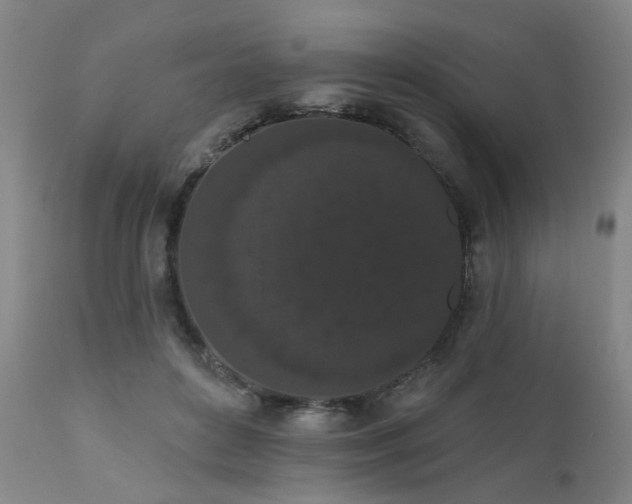 X0000110960504200906191315