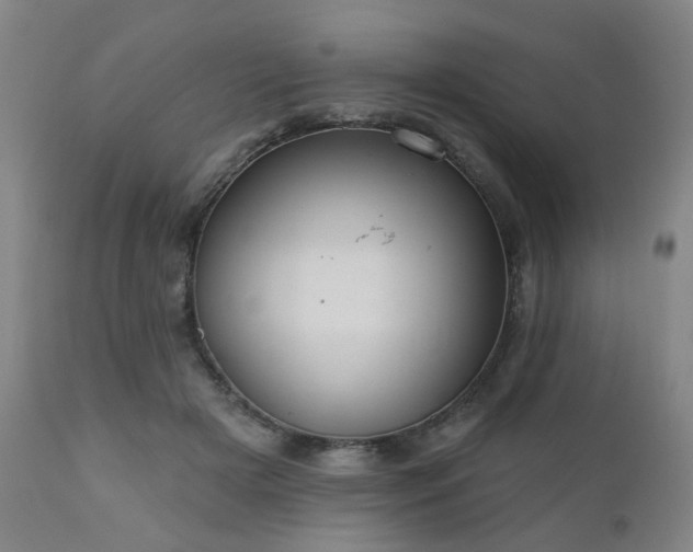 X0000110960505200906191315