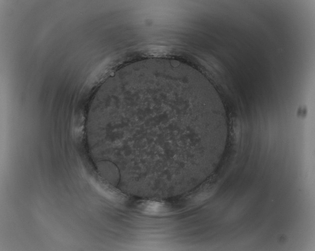 X0000110960507200906191315