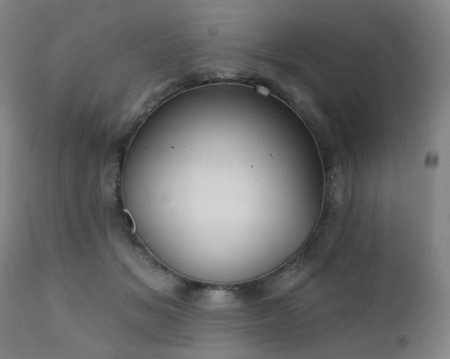 X0000110960509200906191315