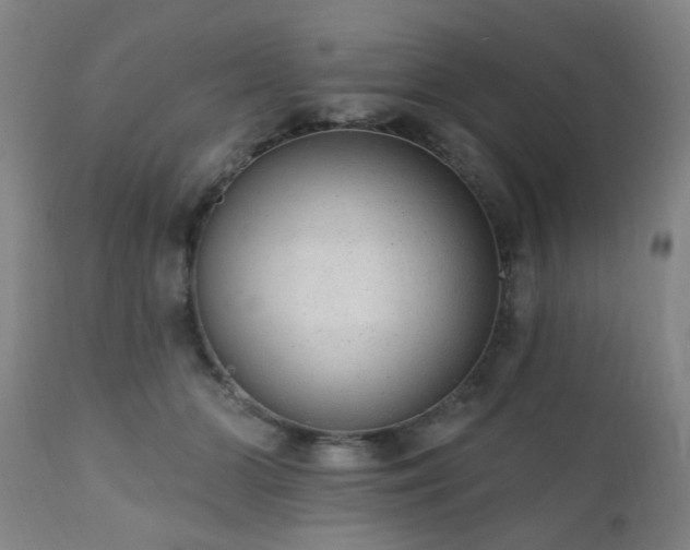 X0000110960510200906191315