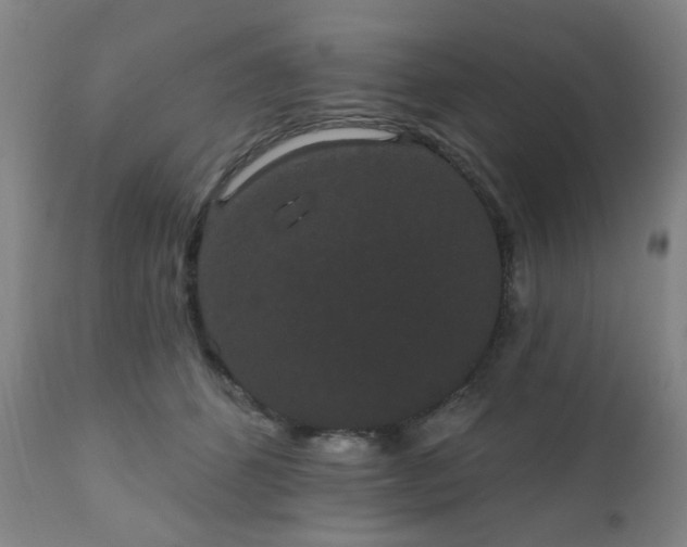 X0000110960512200906191315