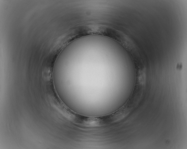 X0000110960514200906191315