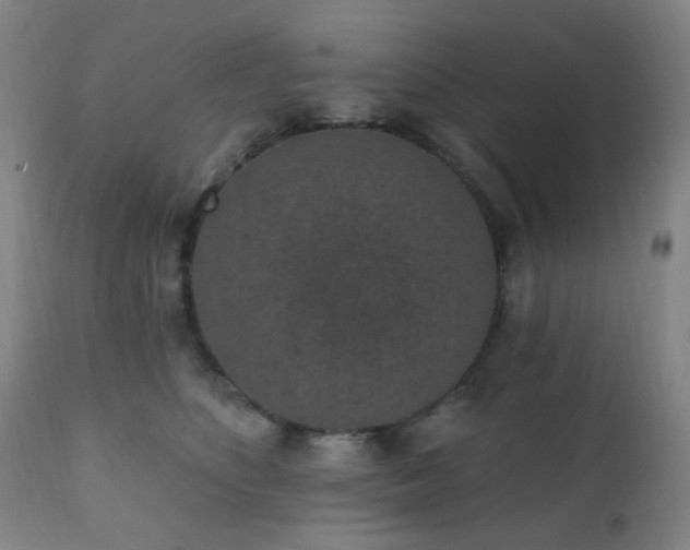 X0000110960516200906191315