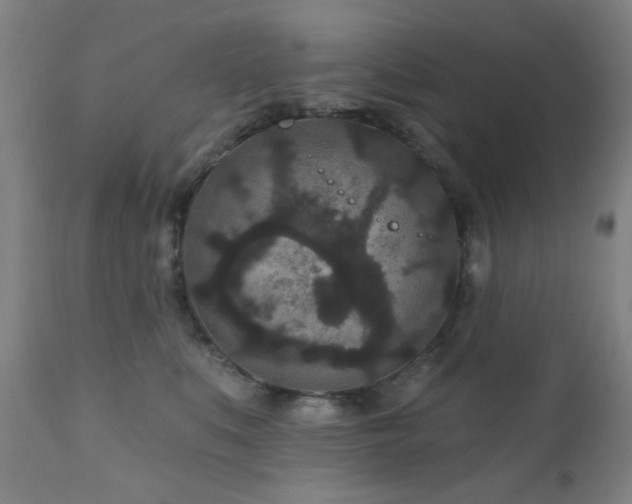 X0000110960519200906191315