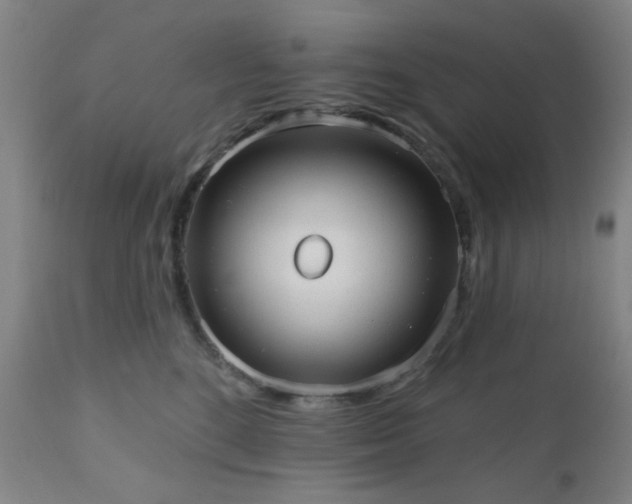 X0000110960520200906191315