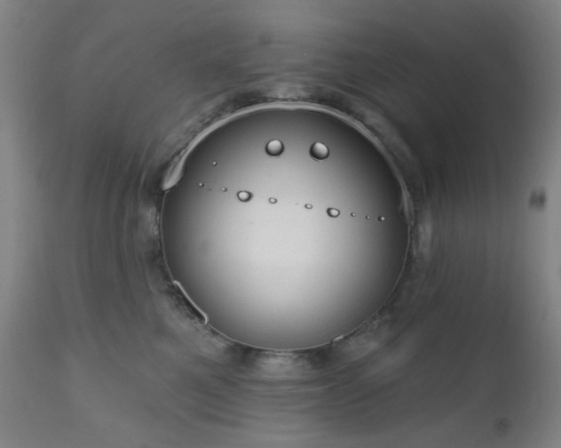 X0000110960521200906191315