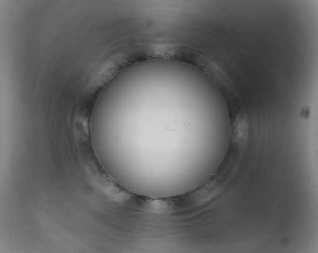 X0000110960522200906191315