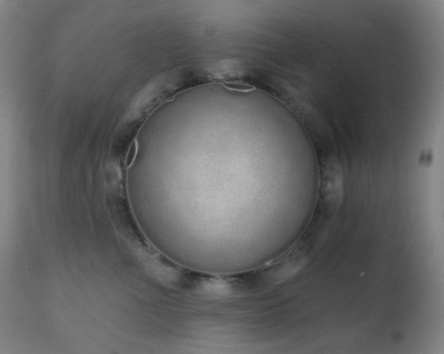 X0000110960523200906191315