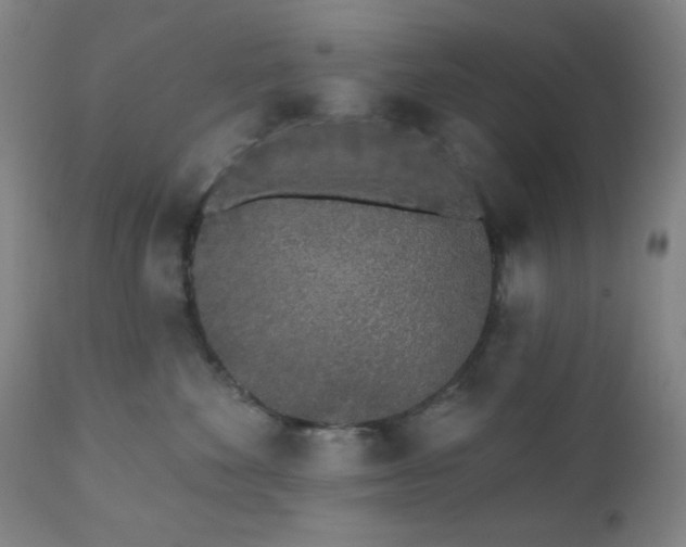 X0000110960524200906191315