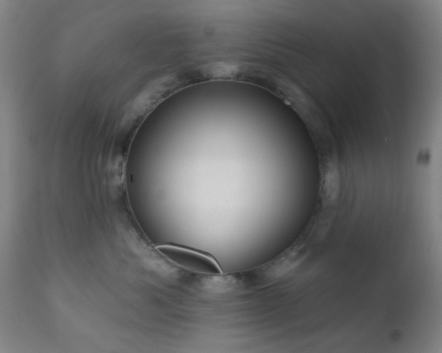 X0000110960525200906191315
