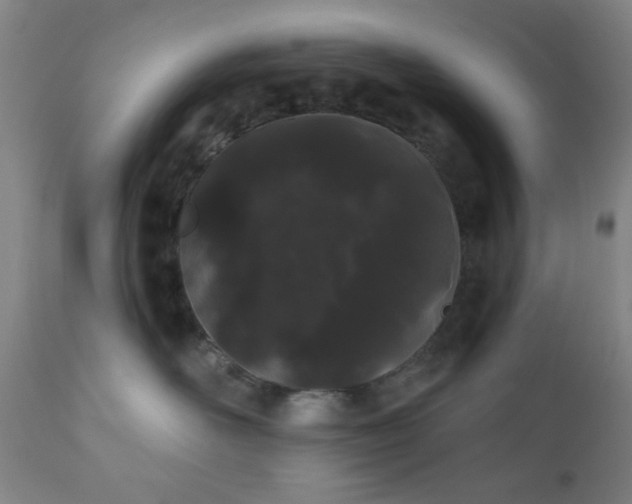X0000110960526200906191315