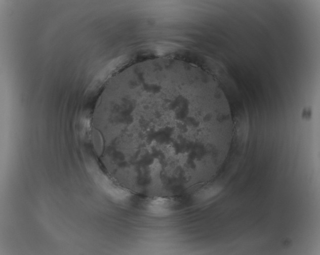 X0000110960527200906191315