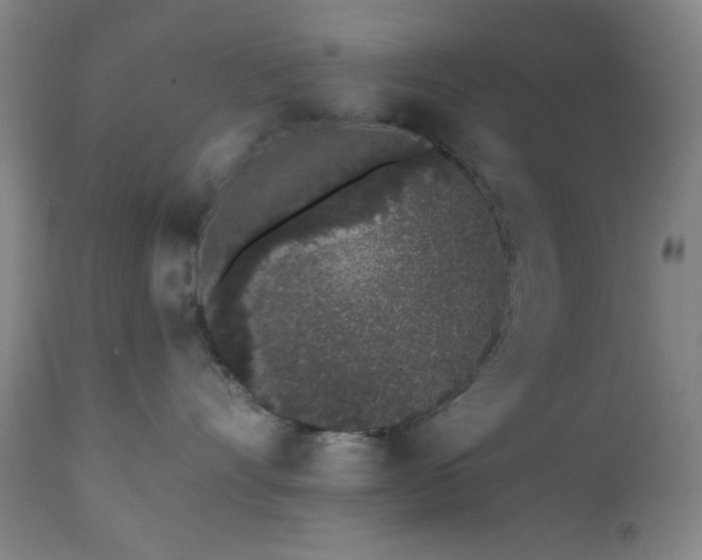 X0000110960528200906191315