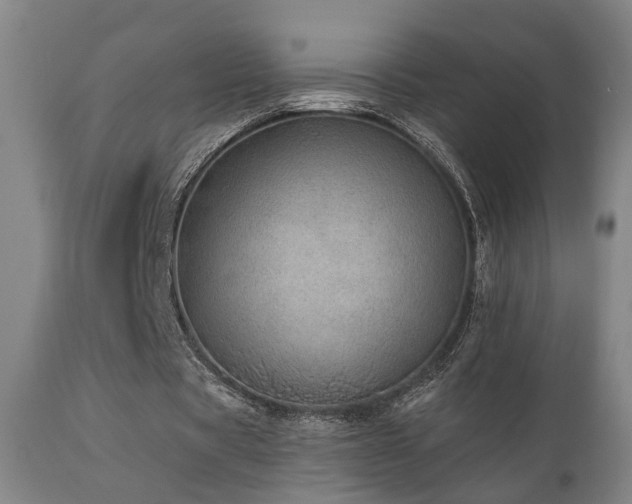 X0000110960529200906191314