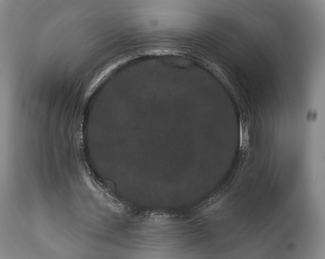 X0000110960531200906191314