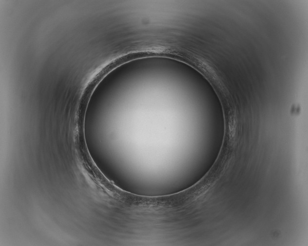 X0000110960532200906191314