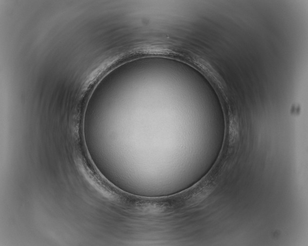 X0000110960533200906191314